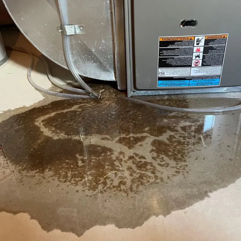 Pipe Burst and Leak Restoration in Nottingham, NH